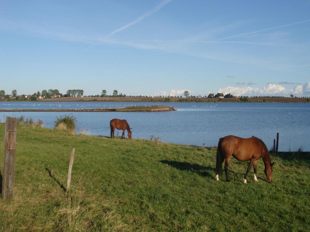 Appartementanlage Zur Seemoewe Insel Poel Exterior foto
